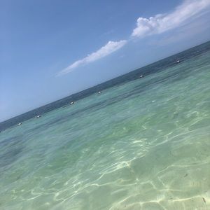 Meet your Posher, Cortney